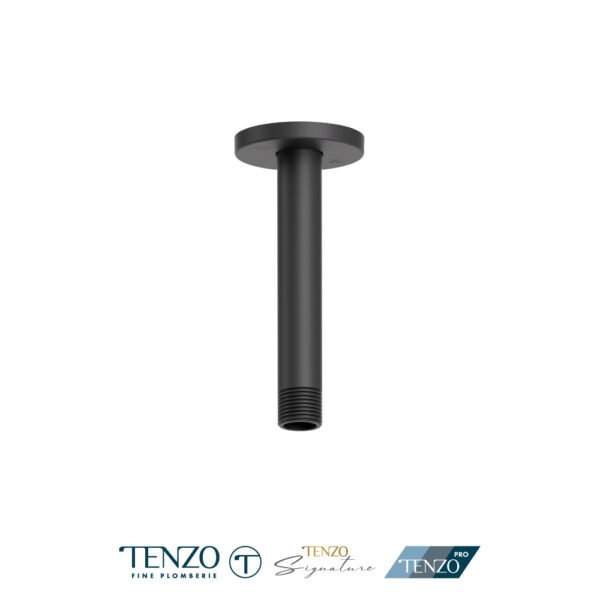 Ceiling shower arm