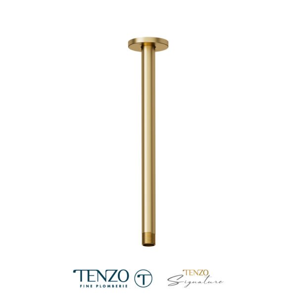 Ceiling shower arm